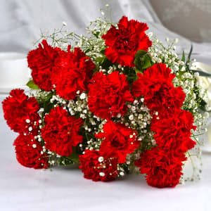 12 Red Carnations Bunch